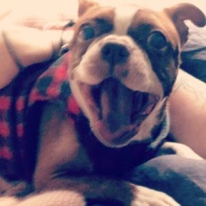 Meet your Posher, Julianne